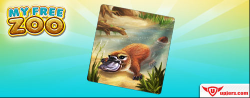 L’ornithorynque débarque dans my free zoo