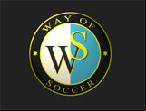 Way Of Soccer : Jeux de gestion